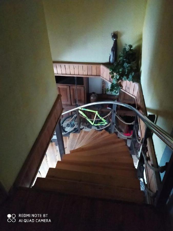 Penzion u Lípy Decin Exteriér fotografie